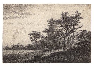 Etching of Tree and Grainfield by Jacob van Ruisdael